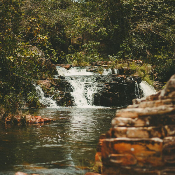 Salto Corumbá - Projeto Pedagógico | GO 13/06 - Imagem 14