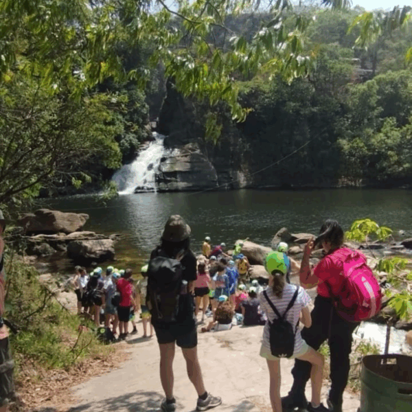 Salto Corumbá - Projeto Pedagógico | GO 13/06 - Imagem 5