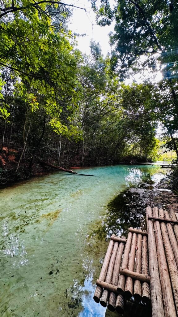 Uma Jornada Inesquecível: Bioluminescência no Parque Nacional das Emas e Serranópolis