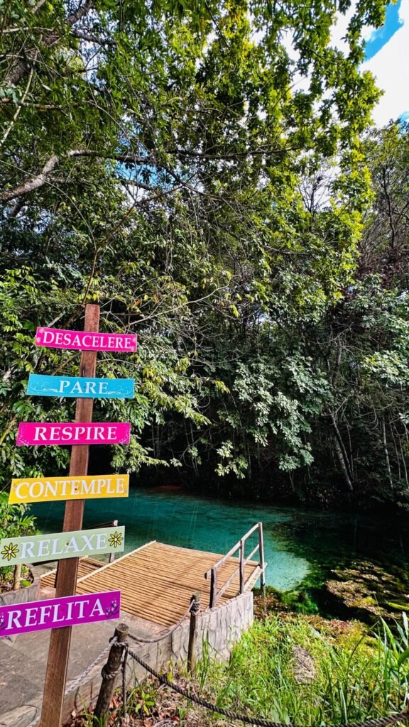 Uma Jornada Inesquecível: Bioluminescência no Parque Nacional das Emas e Serranópolis